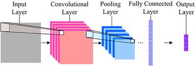 Dual Temporal Scale Convolutional Neural Network for Micro-Expression Recognition